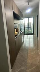Irwell Hill Residences (D9), Apartment #594565851